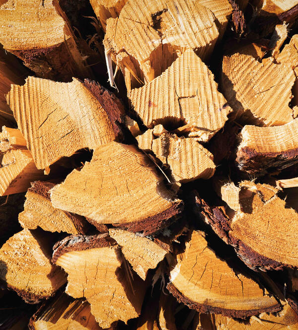 Minnesota Firewood Delivery